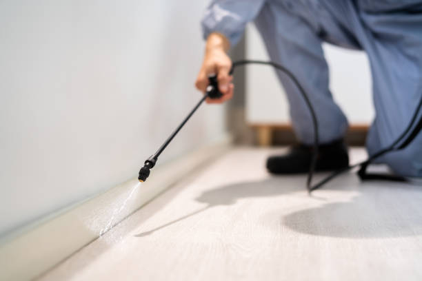 Licensed Fumigation Services service in Hamilton, OH - Nex Pest Control