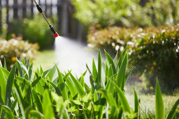 24/7 Emergency Fumigation Services experts in Hamilton, OH