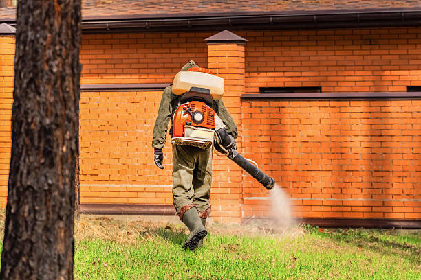 Trusted Cockroach Control service in Hamilton, OH - Nex Pest Control